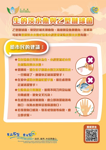 生的淡水魚及乙型鏈球菌 (市民篇)