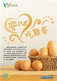 安心吃雞蛋